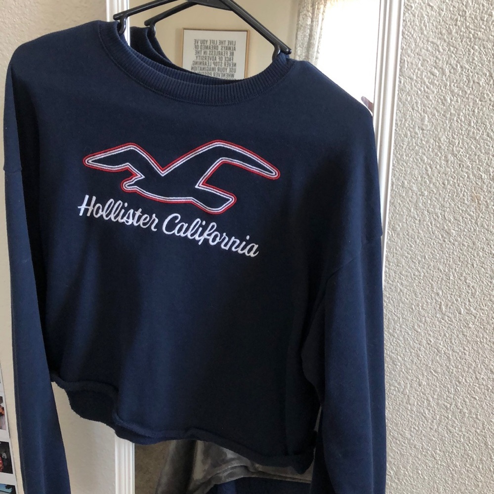 hollister crop